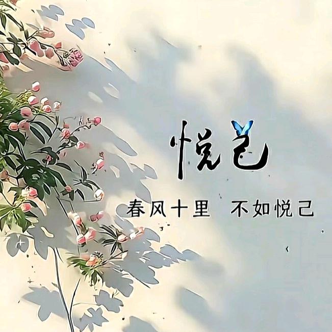 不努力你啥都不是