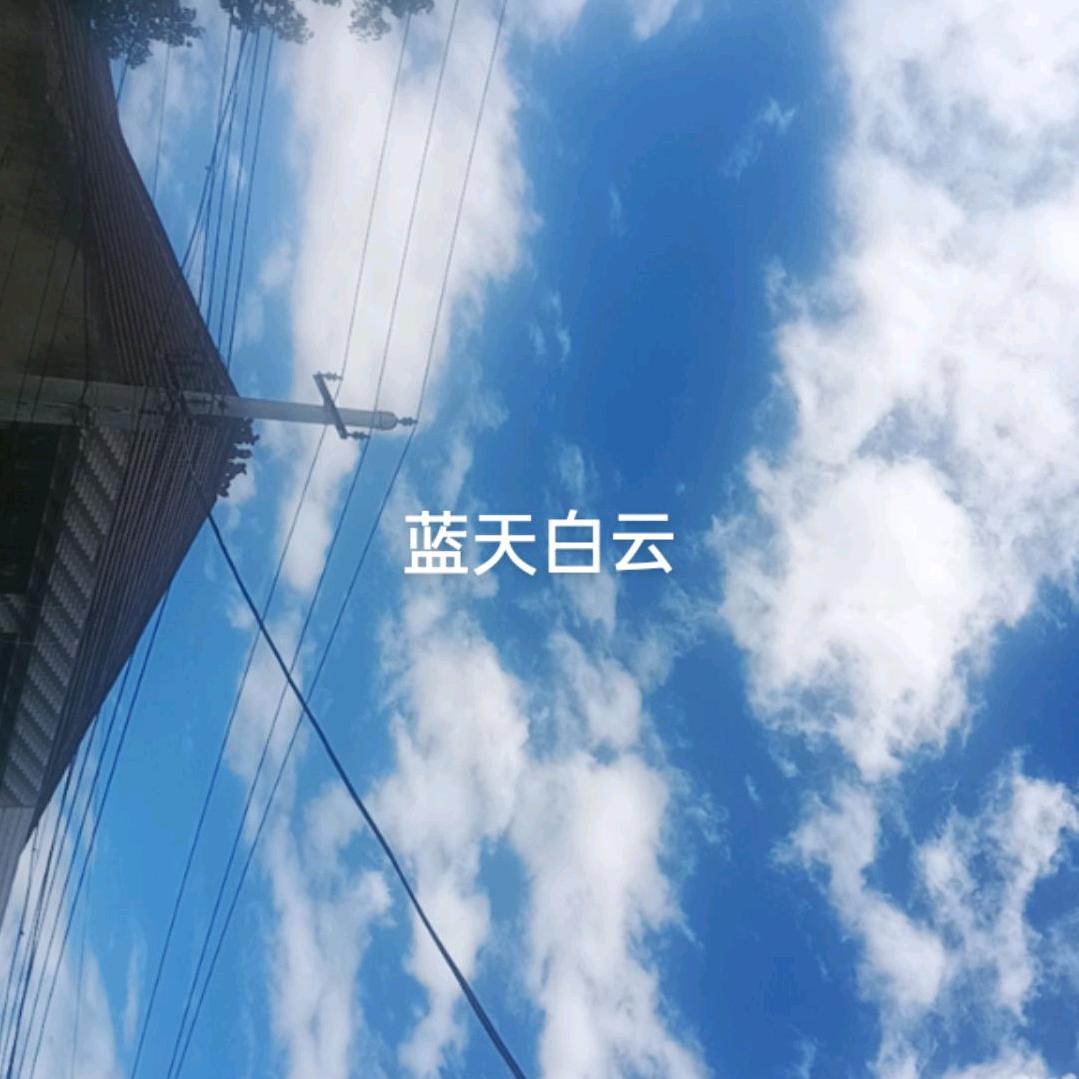 王志