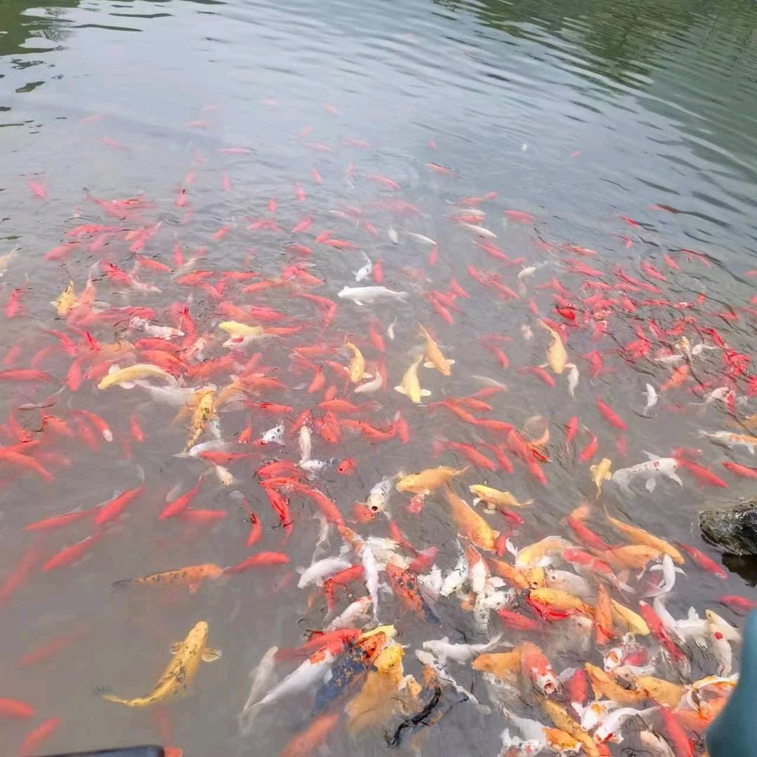 做好自己，努力向前