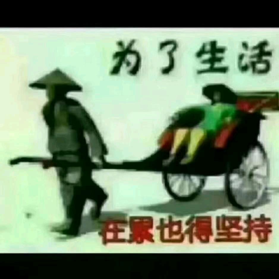 奋斗63773