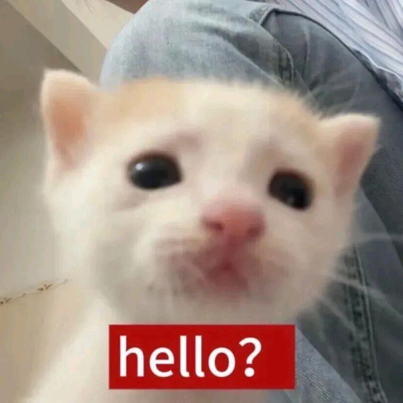 糖醋里脊ദ്ദി˶•̀֊•́)✧