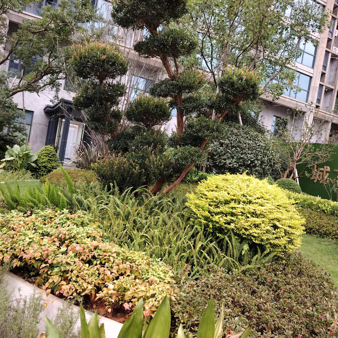 家有三个建设银行