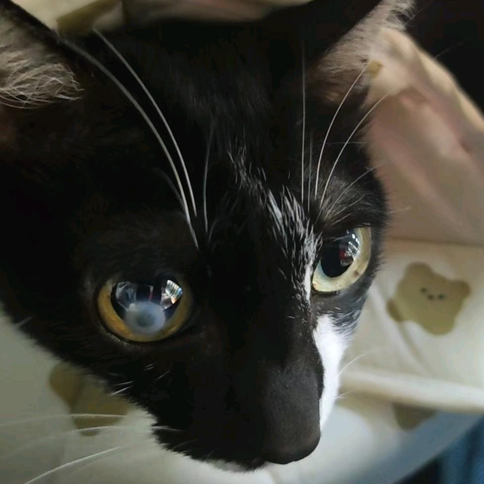 二胎宝妈已疯β