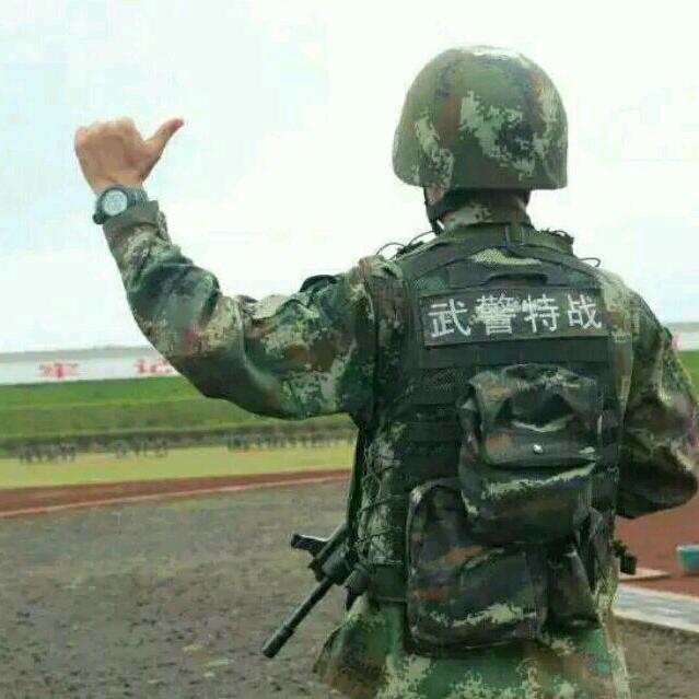 ♬小鹿不见了
