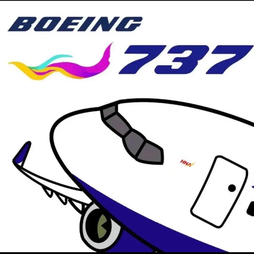 波音737。