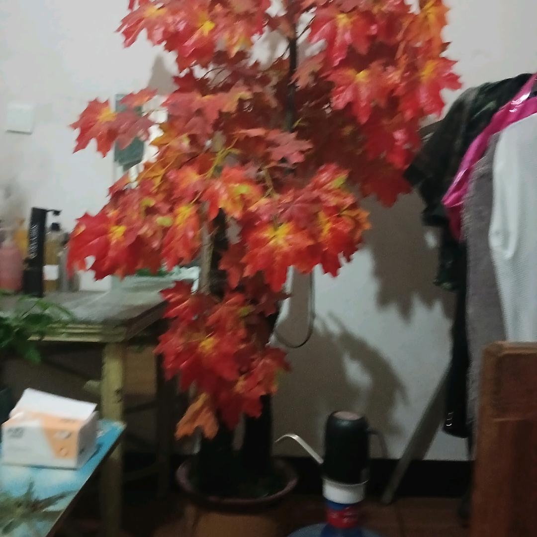 单身一人