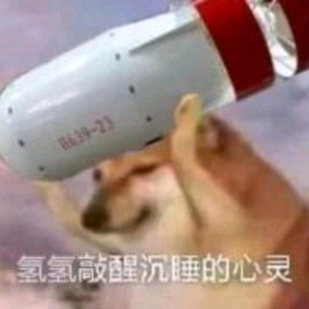 PPX