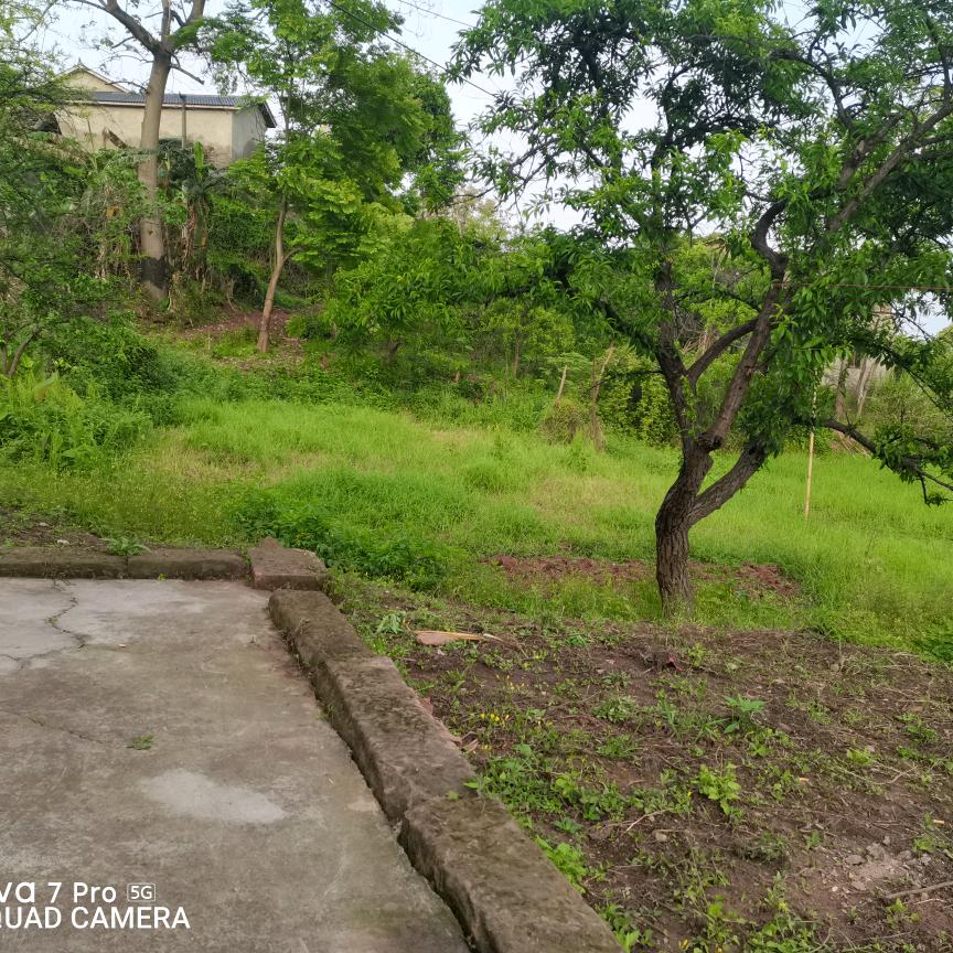 开心过好每一天。