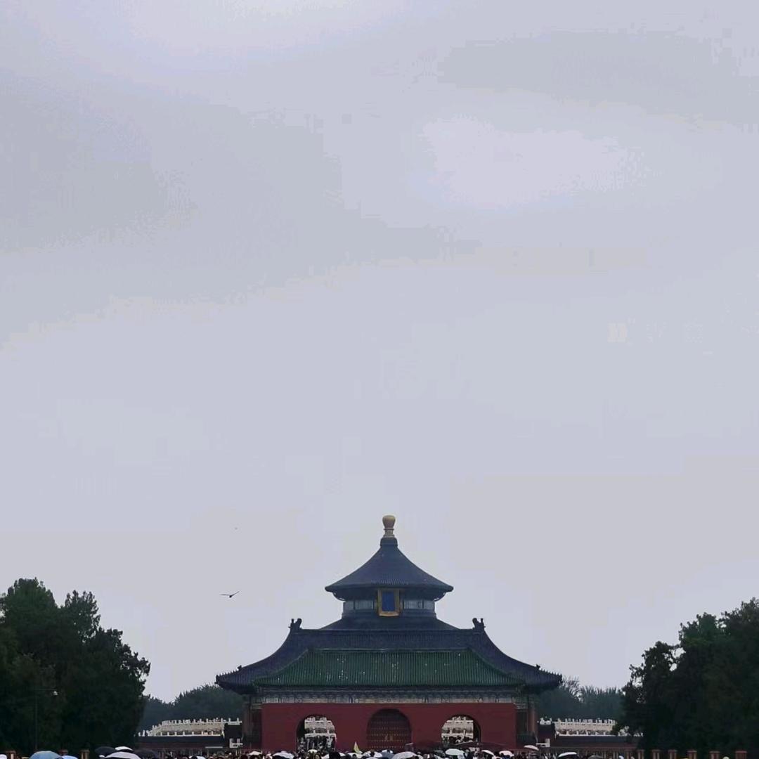 一切随缘🌸🌸🌸🌸
