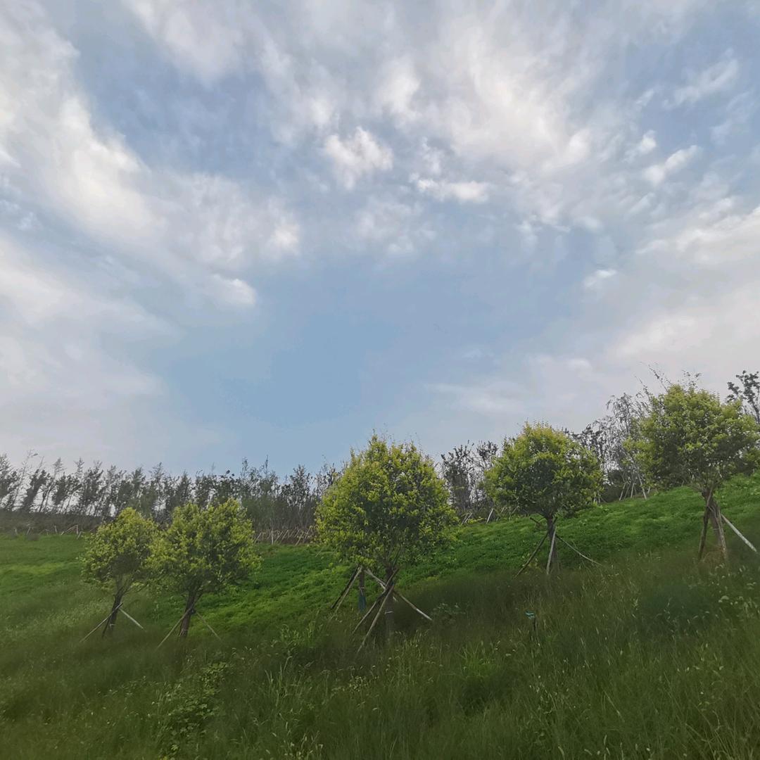 河南启能建筑装饰工程有限公司