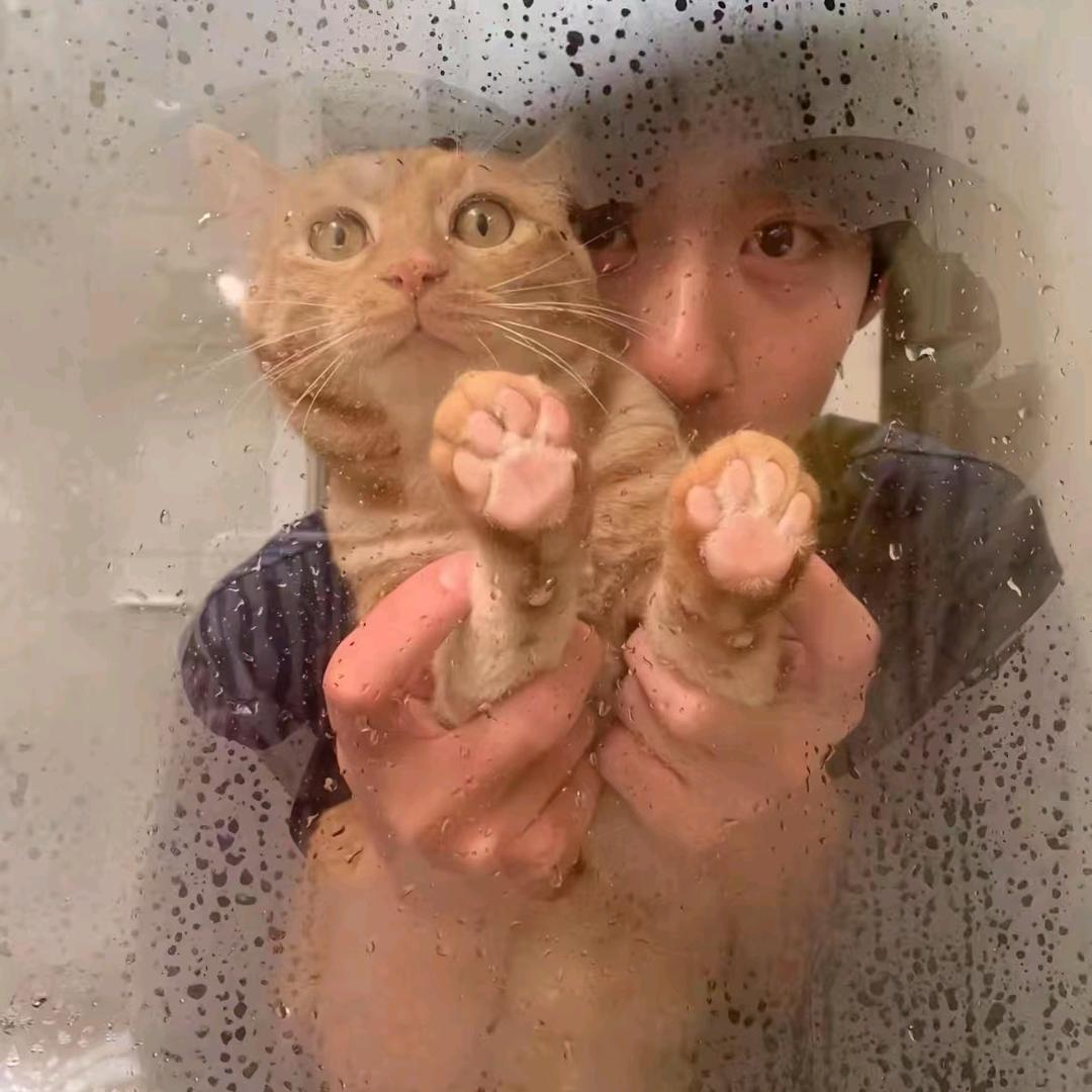 遂林安