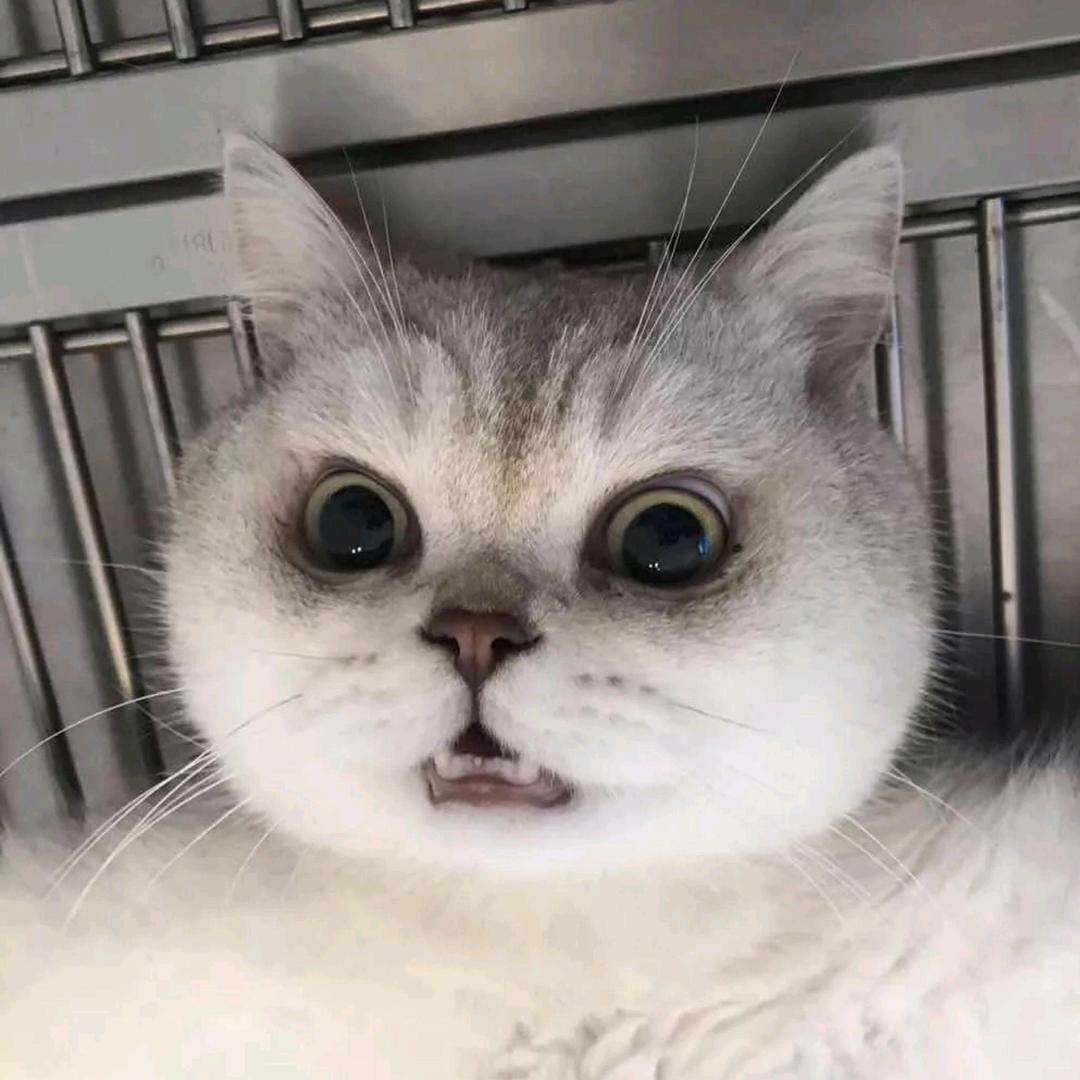 烟味