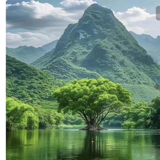 金乡伟顺室内外装饰