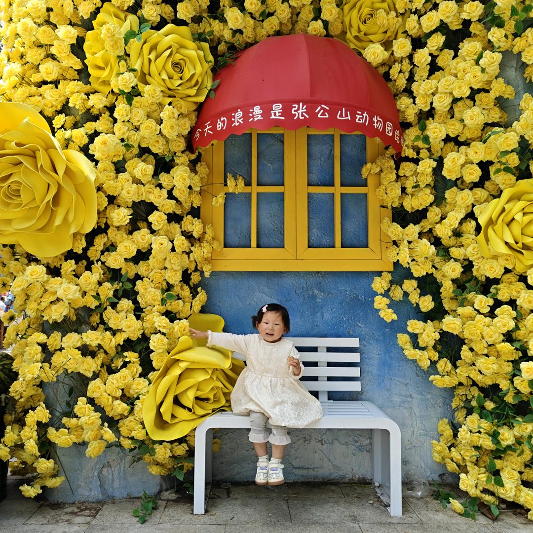 那片海。