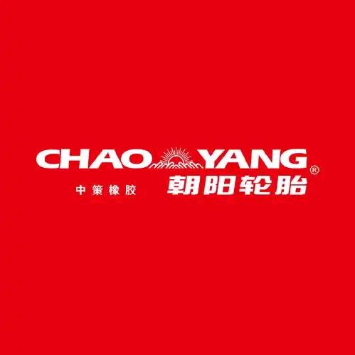 朝阳轮胎(莲前西路店)官方号