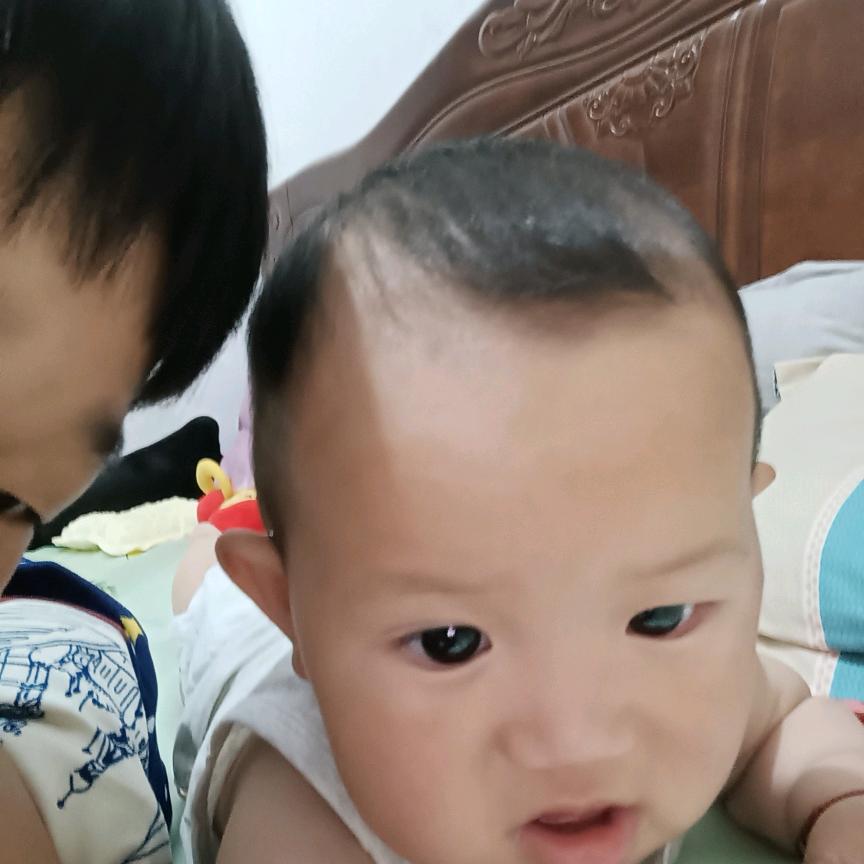 嘉豪嘉艺奶奶