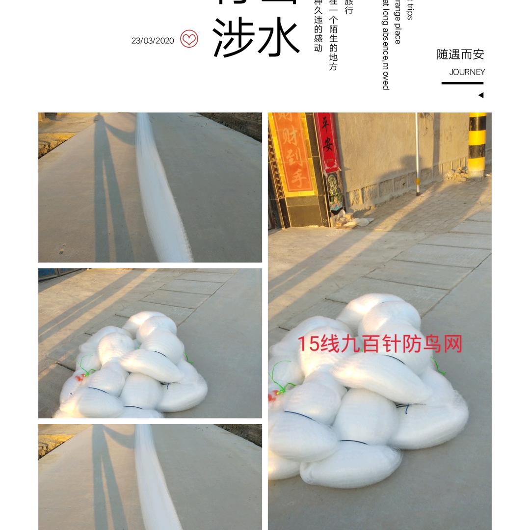 加工13线15线防鸟网