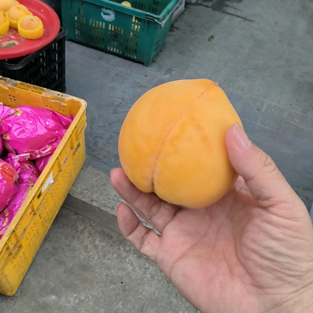 觉醒🇨🇳景云端