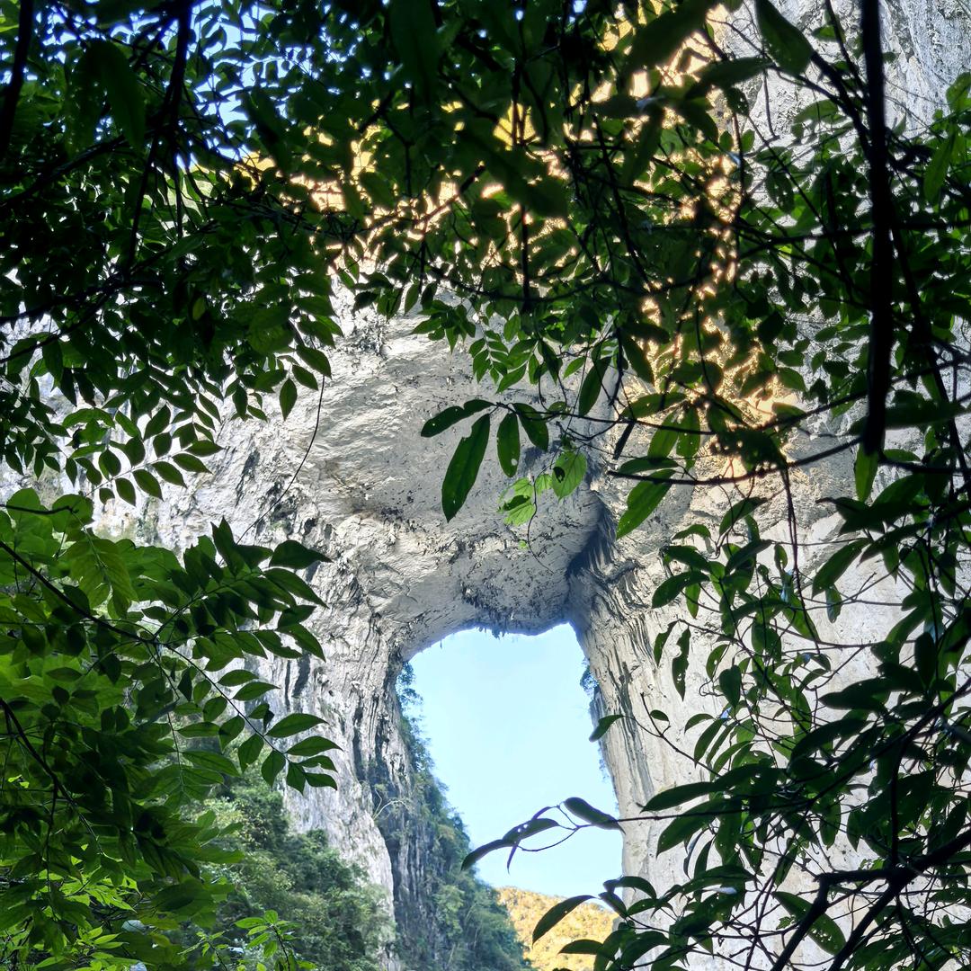 予己