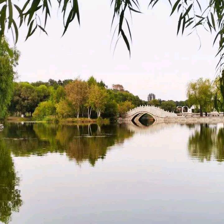 《傻丫头》全国各地轿车往返拖运