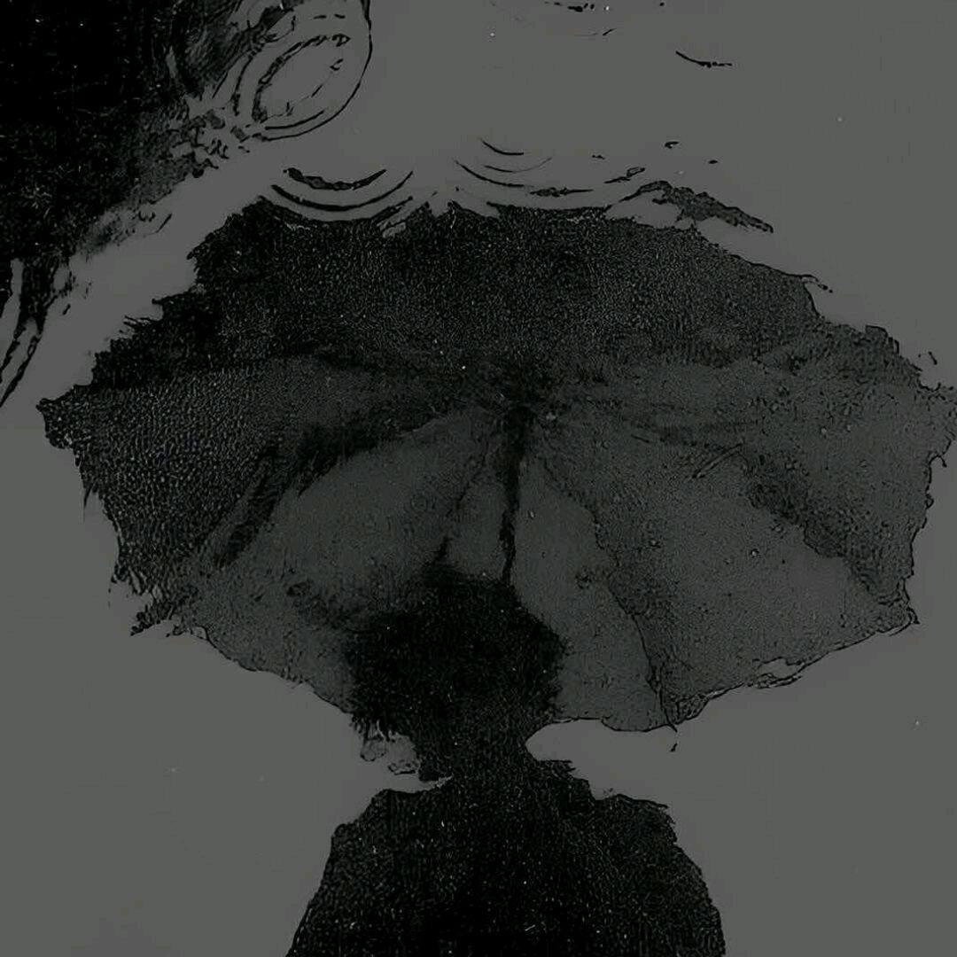 胖胖生涯