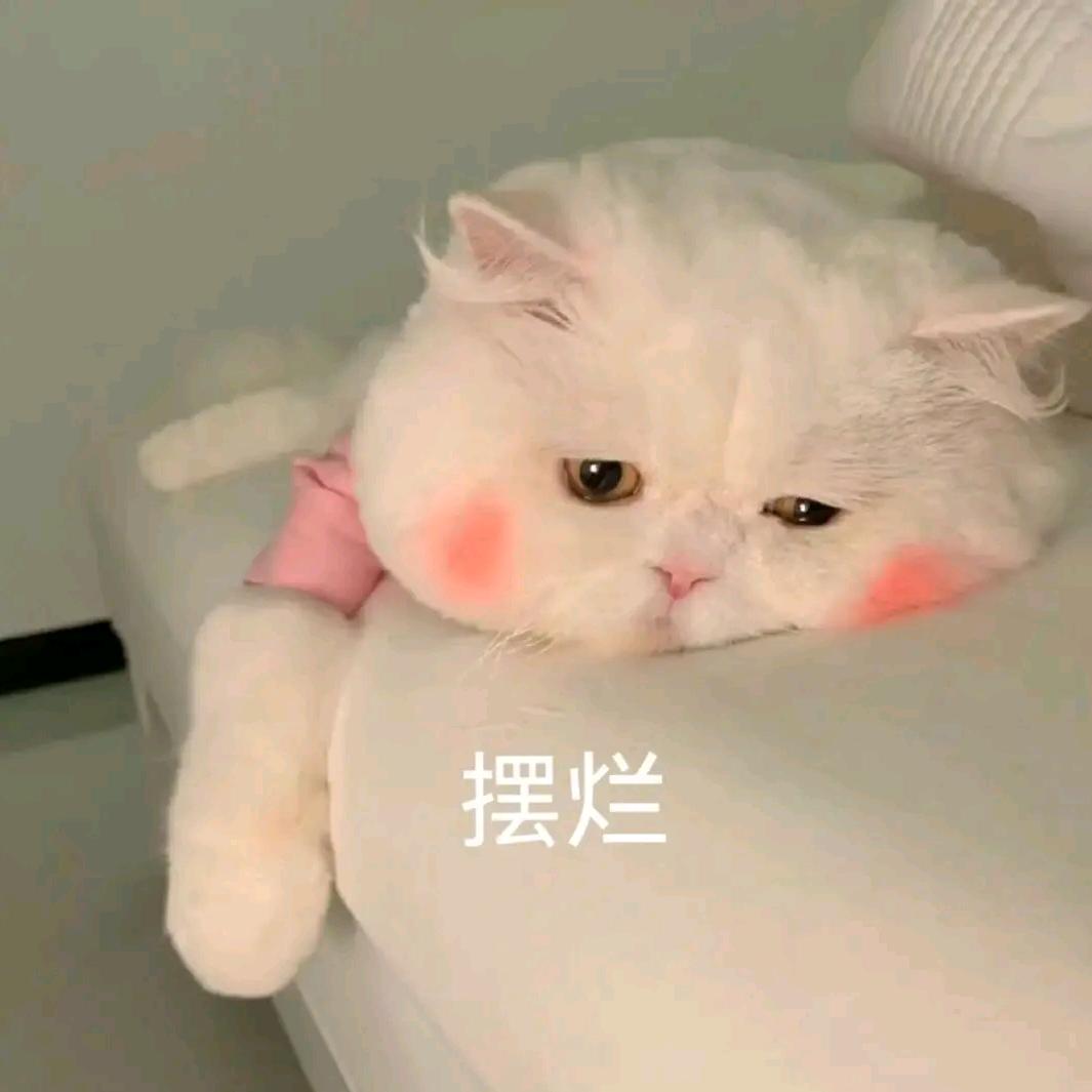 ？？？？？？？？？？