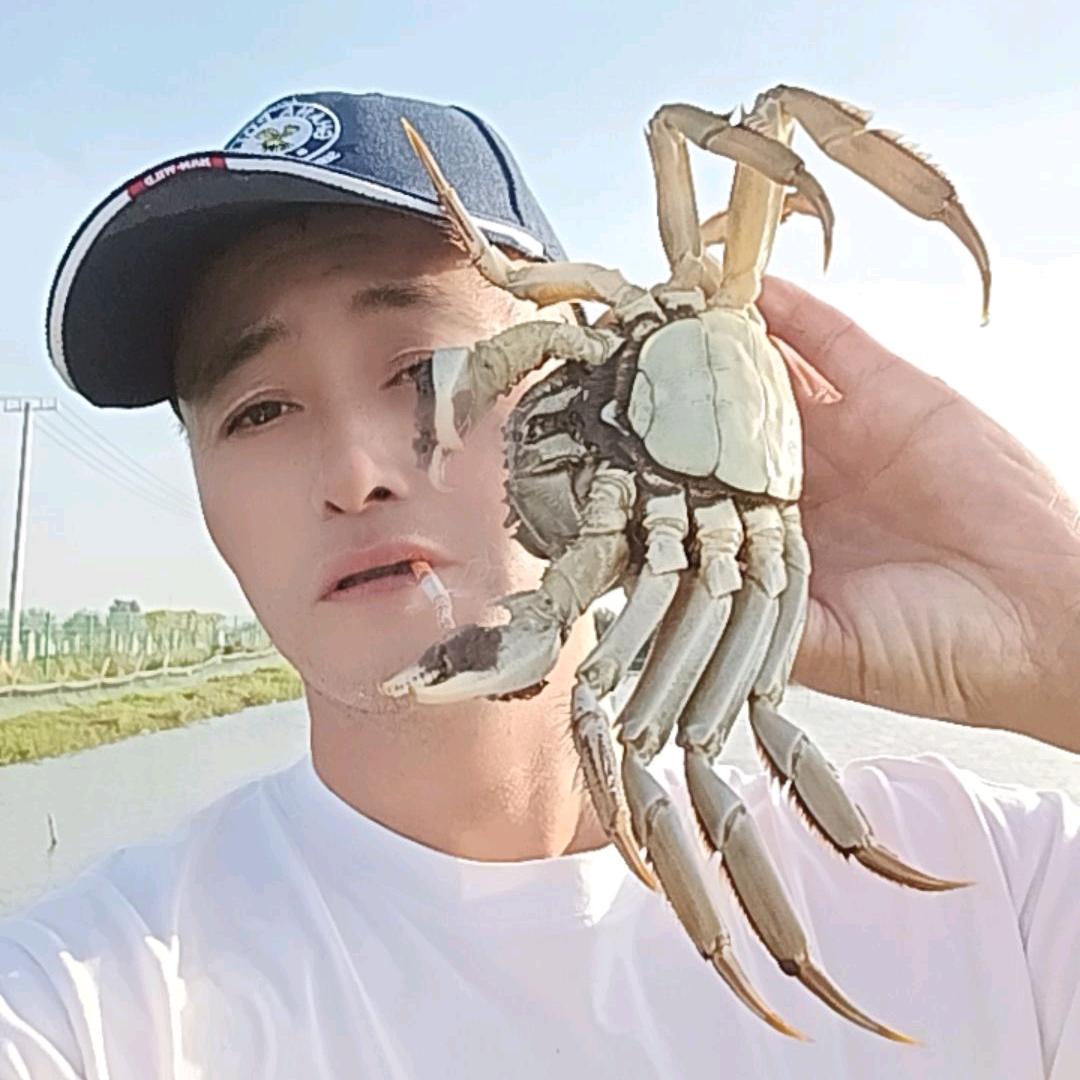 👍俊哥大闸蟹👍