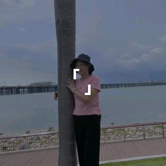 黄梅梅