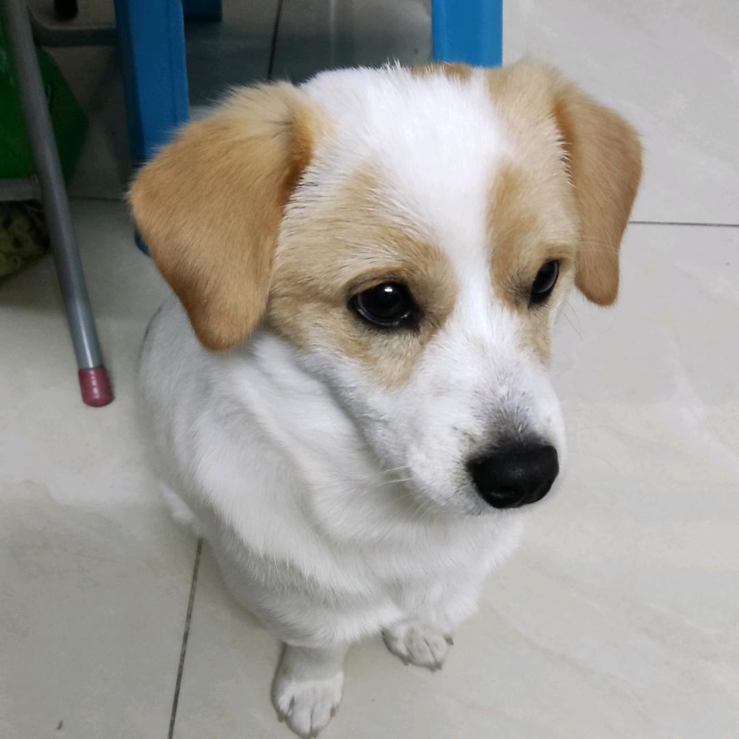 不凡→吃喝玩乐