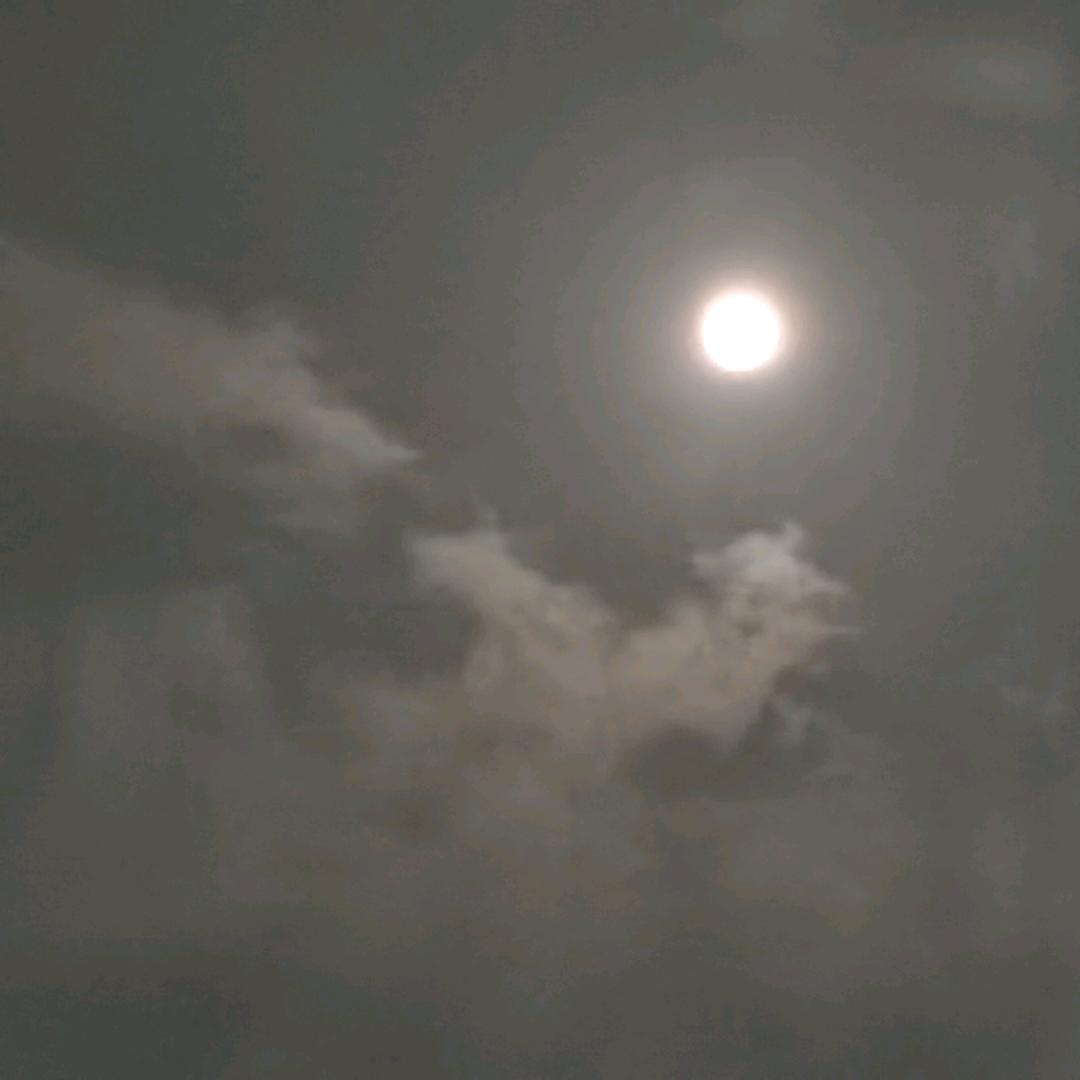 小咸鱼