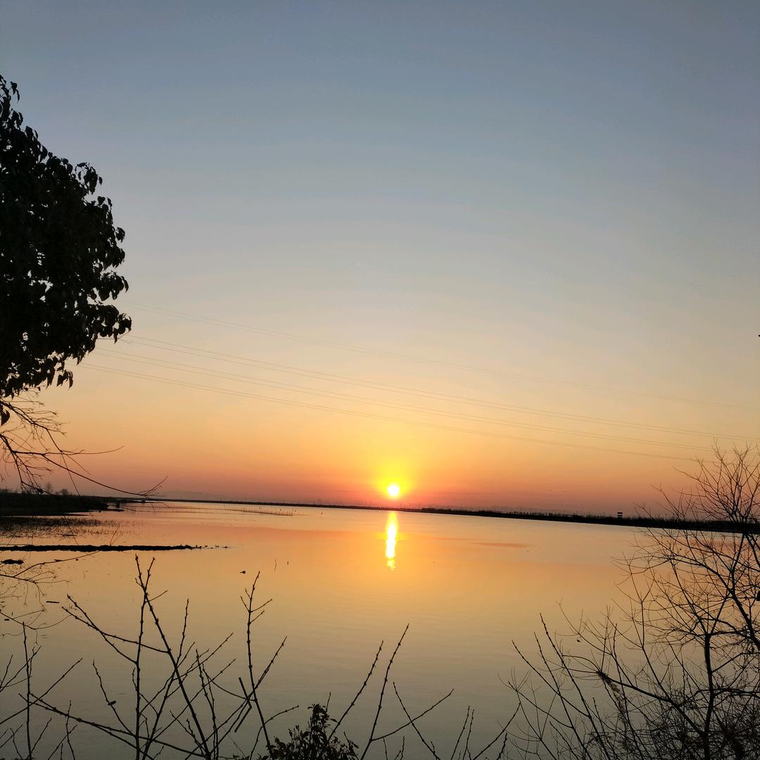 暮柳绕清寒¹⁹¹⁵༗