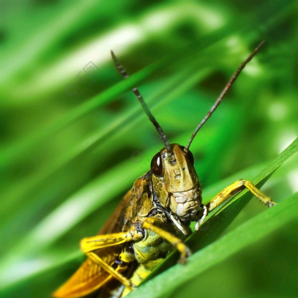 虫眼看世界大一号