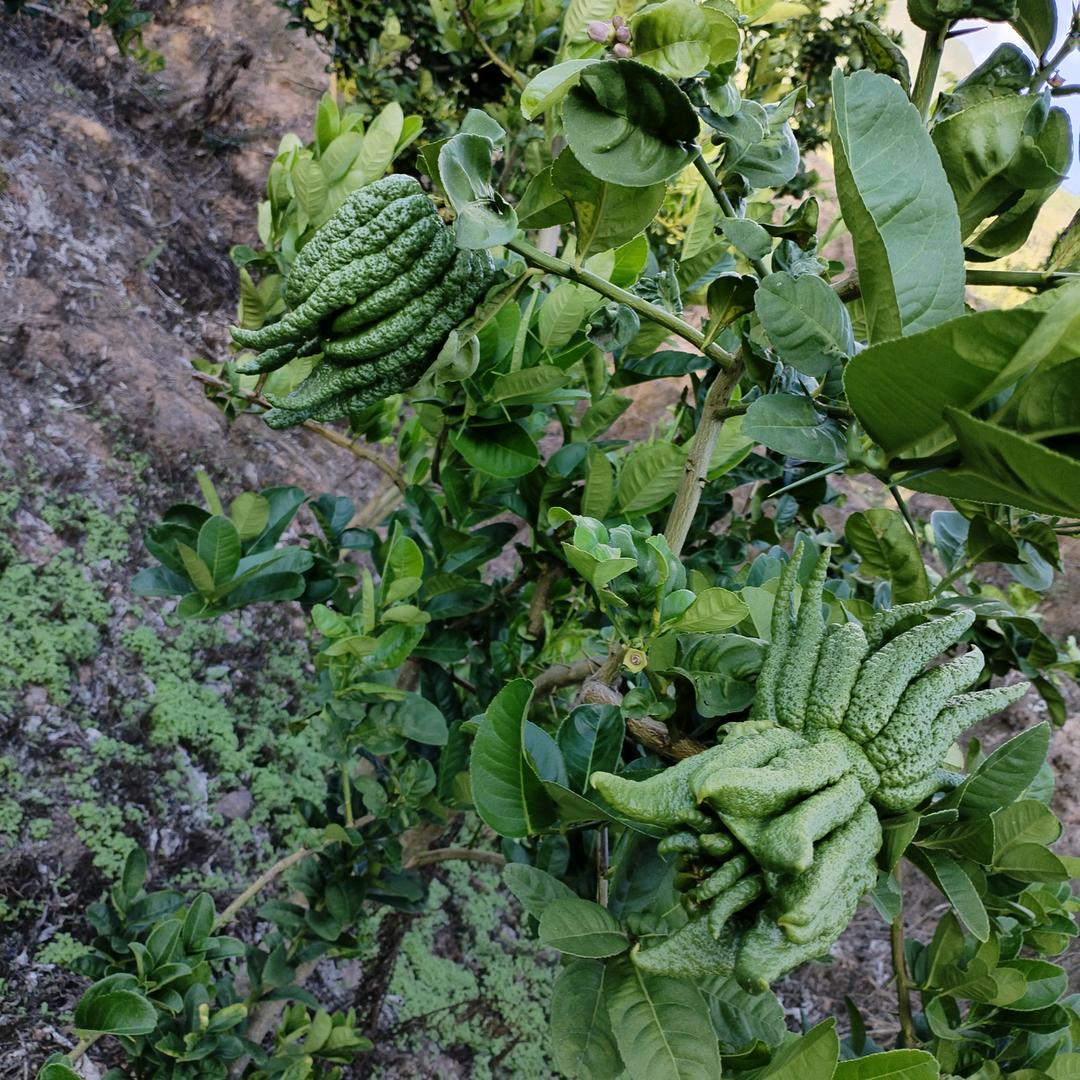 龙游浅滩