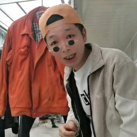 湖北蚊子