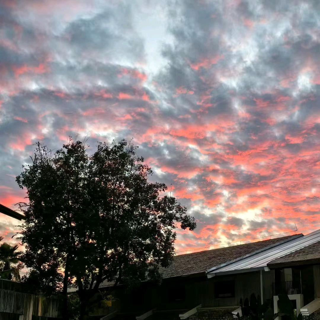 🙈榮ʕ ᵔᴥᵔ ʔ榮