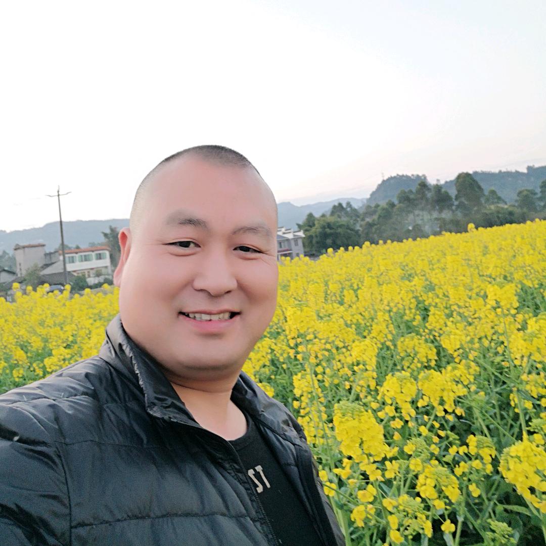 淡然