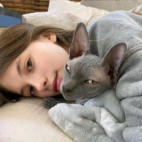 骑着蜗牛追导弹