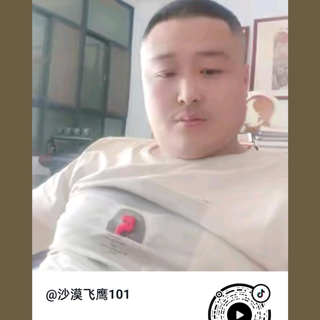 沙漠飞鹰101