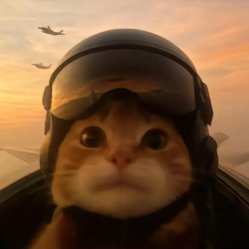 哈基界第一飞行咪