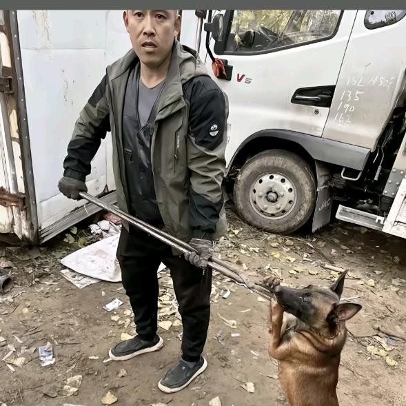 八岁专业套狗