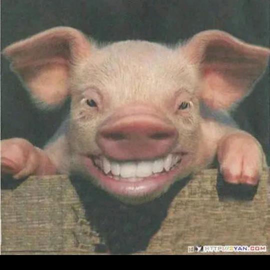 ཽ爸ᥫᩣཽ爸ᥫᩣ