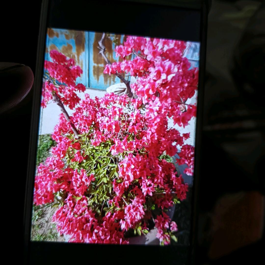 我何你以起看海