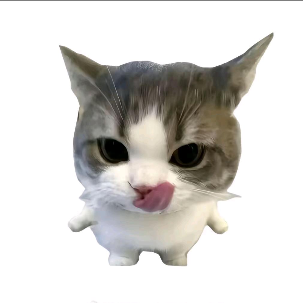 7小鱼的一天