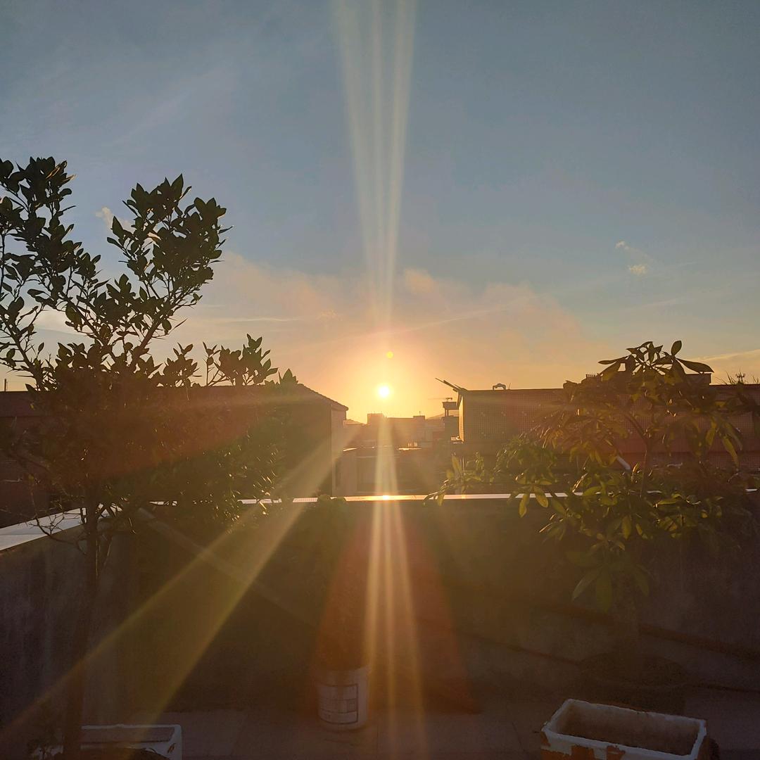 等风来，待花开