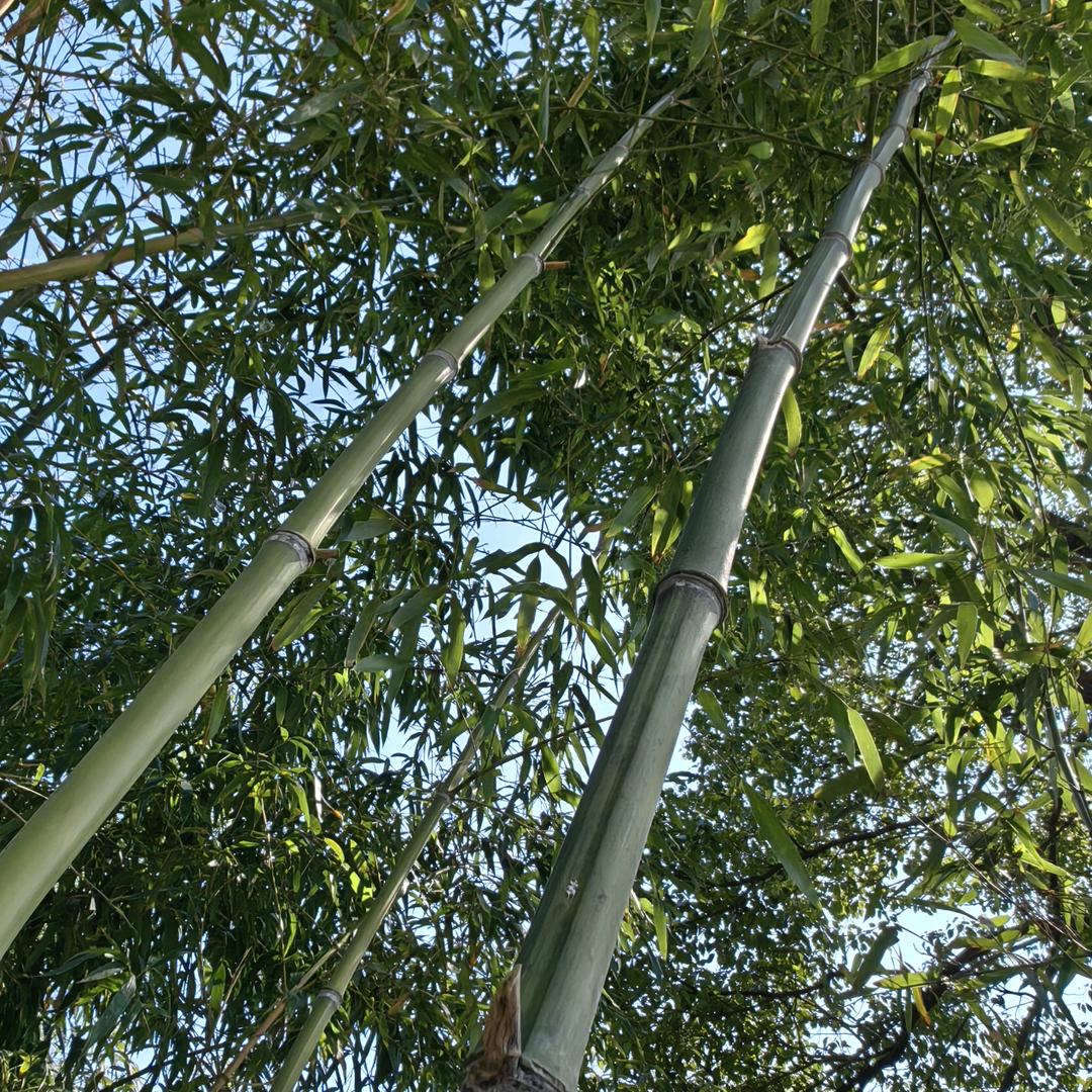 际华被服百货