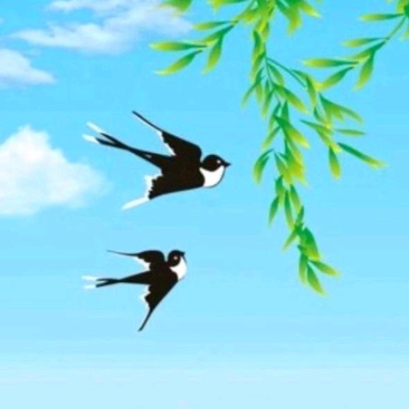 🌱双春美发🌱