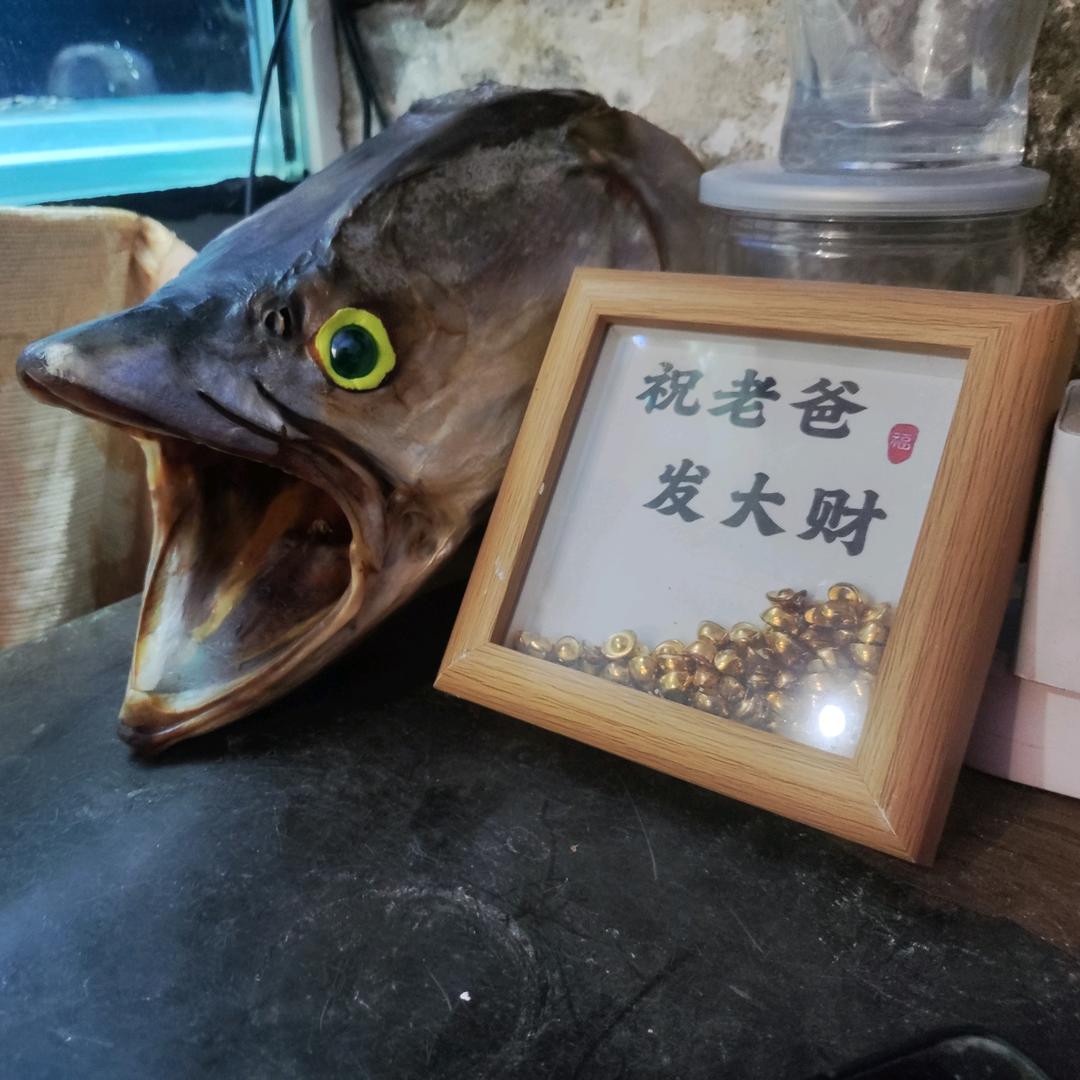 迎龙湖-  古天乐