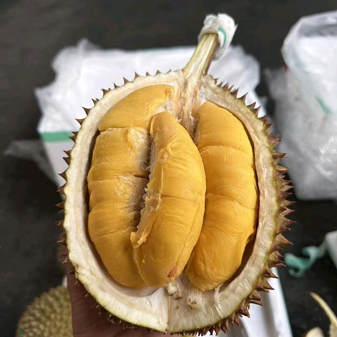 001马来猫山王榴莲