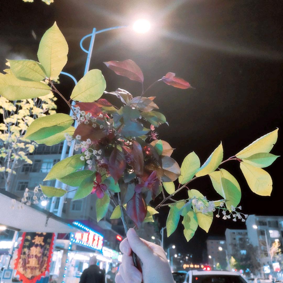 一场梦