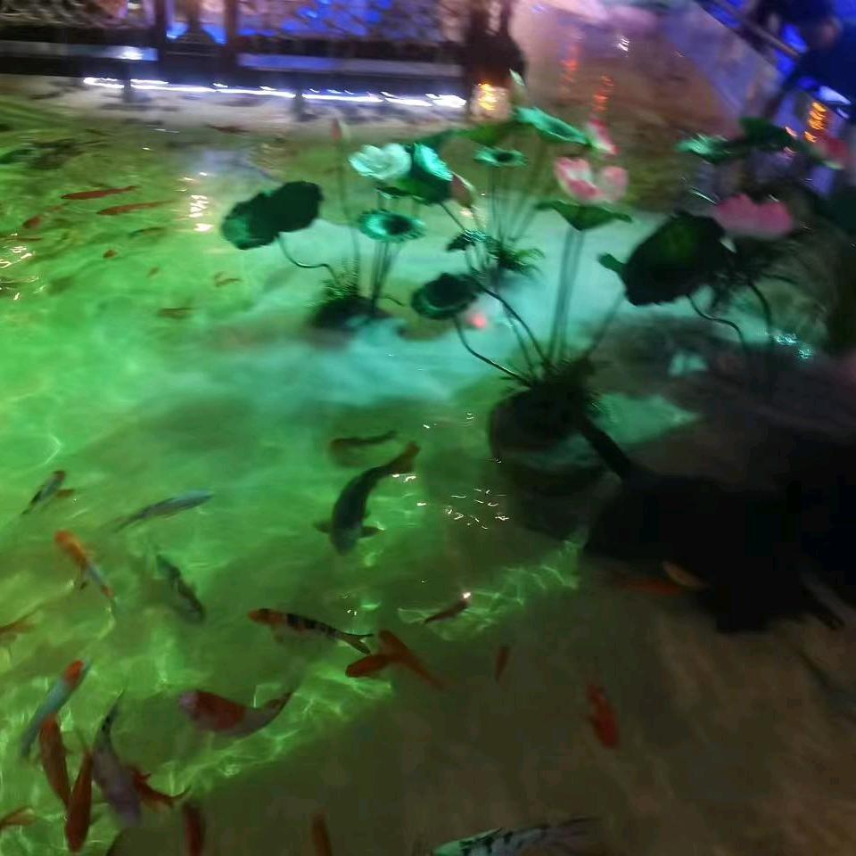 小宇